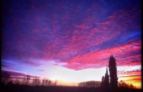 Château du Port Hublé - Foto 74