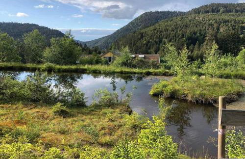 Le Perchoir du Grand Valtin - Gîte 9 personnes - Altitude 830 - Foto 32