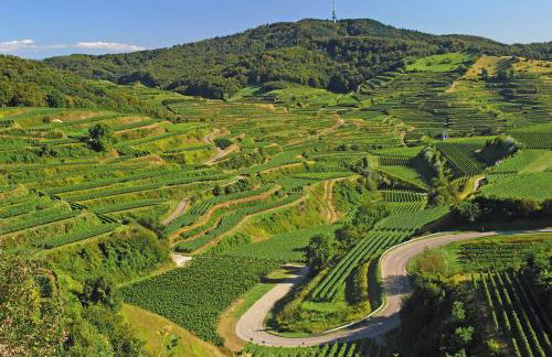 Ferienwohnung Birkental - Foto 42