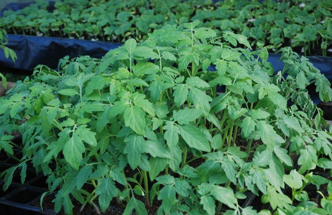 La Casona de Amaido - Foto 54