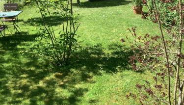 Gästehaus A+C Bovet - Foto 4, Garden view