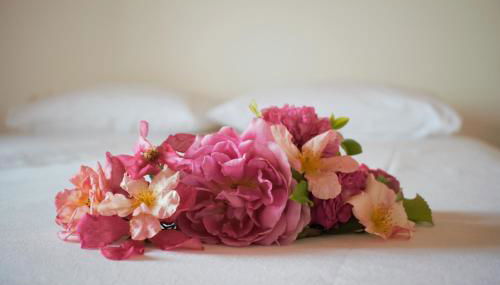 Agriturismo Casa Fiorindo - Foto 5