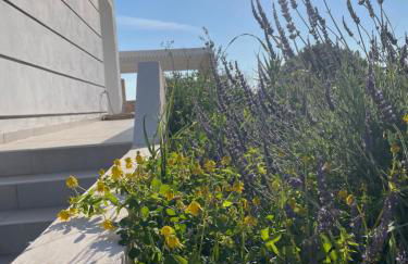 Souvala /Aegina. Excellent location Luxury villa. - Foto 65