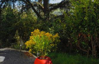 Love room le belka - Foto 10