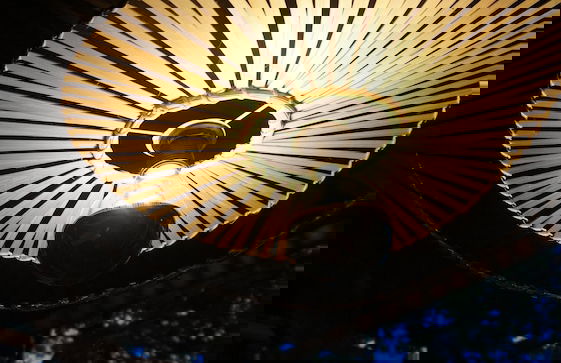 Les Landines - Foto 26