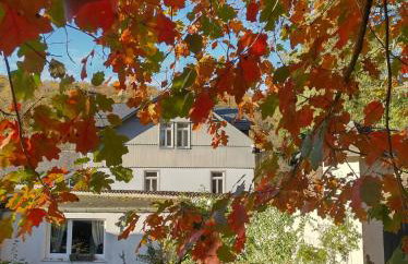 Etzauer Mühle im Taunus, Mensch-Zeit-Pferd - Foto 12