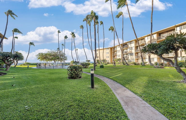 Kanai A Nalu 211 - Foto 41