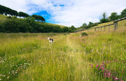 Ta Mill Cottages & Lodges - Pump Cottage - Foto 31