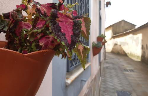 Appartamento per Turisti Filoxenia - Foto 13