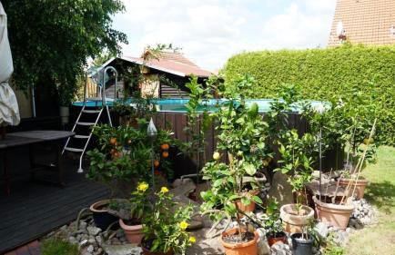 Pension Limone Ferienwohnung 2 - Foto 11