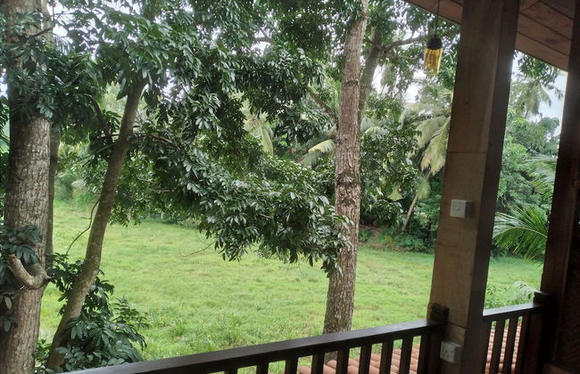 Green Herbal Ayurvedic Eco-Chalets - Foto 14