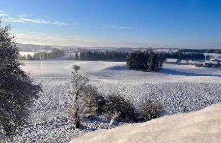 Ferienwohnungen mama ELVA - Foto 19