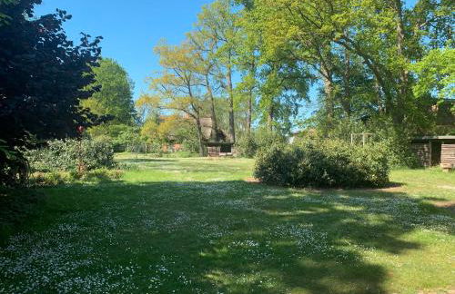 Schwalbennest - Foto 19