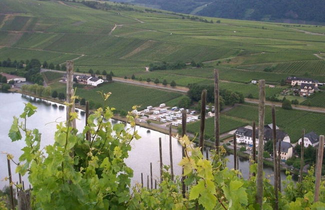 Voor 8 tot 12 Personen - Photo 34