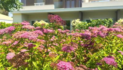 Suite du Parc & Hotel - Foto 2