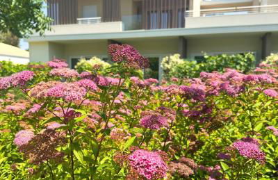 Suite du Parc & Hotel - Foto 2