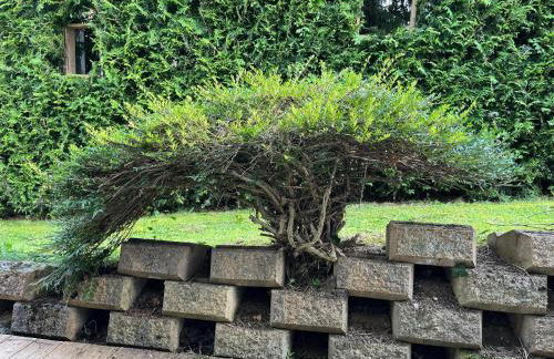 FeWo meisteroffice im Sackgässle, ebenerdige ELW 50qm, Terrasse, vollwertige Küche, Nähe Ulm - Foto 7