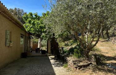 Maison Amandre en Pleine Nature - Mas Lou Castanea - Foto 4