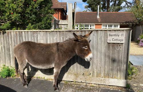 Bentley Cottage - Foto 23