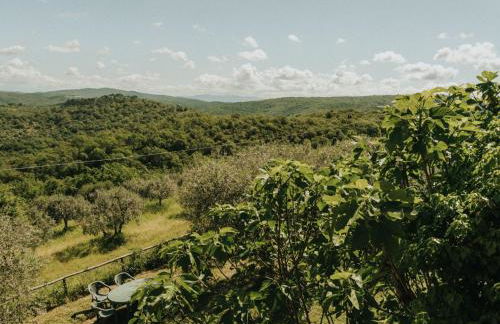 Apartment Wohnung 'Caterina' mit Gemeinschaftspool by Interhome - Foto 10