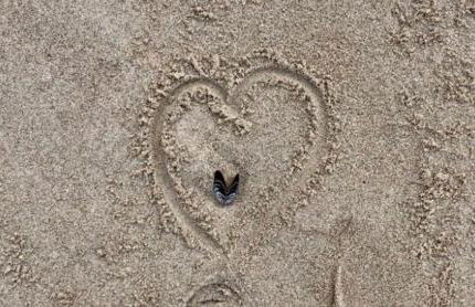 Die kleine Acht - direkt am Strand - Foto 11