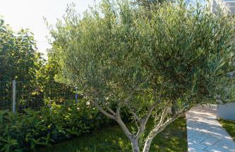 Ollenia's Harmony Luxury Apartments - Foto 50