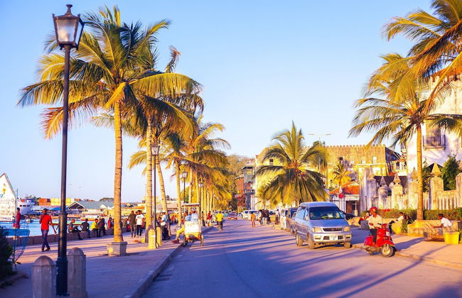 Zanzibar Spice Nest Apartment - Photo 73