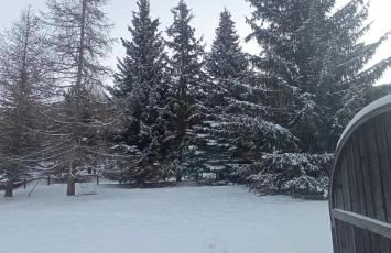 Ski apartment Sellette San Sicario Alto - Photo 26