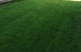 Casa fronte mare al Cavalluccio - Foto 19