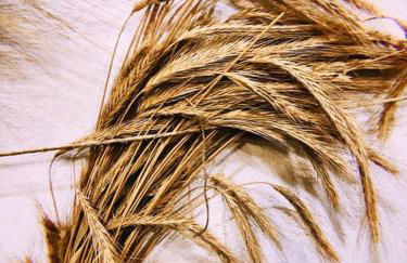 Casa Spisidda Appartamento monolocale "Vulcano" per 4 persone con vista sulle Eolie - Foto 31