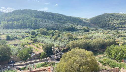 Remote Work in Spanish Mediterranean Countryside - Foto 3