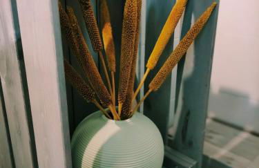 Petite maison centre-ville - Foto 23