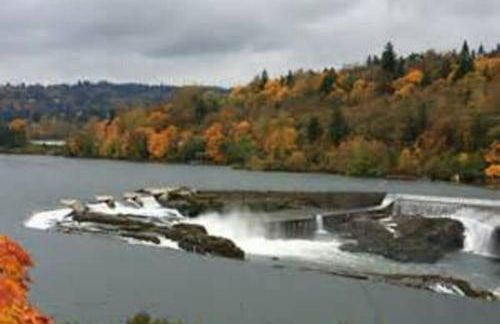 West Linn Relaxing Entire Home WiFi TV Yard BBQ Eateries - Foto 35