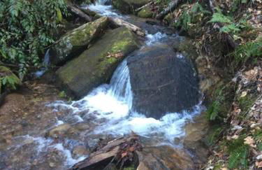 ShortLong Stays Welcome! Hot tub, Dog Friendly! - Foto 34