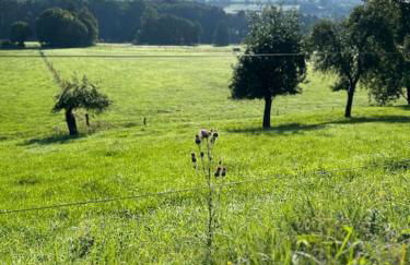 Ferienwohnung Krone 2 - Mernes - Foto 11