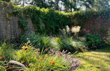 Przystanek Wieś - Foto 41