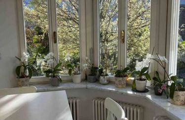 Laurelia Suites - Foto 8