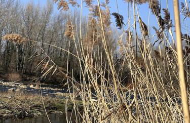 villa bleu marine chic calme et jardin - Foto 35