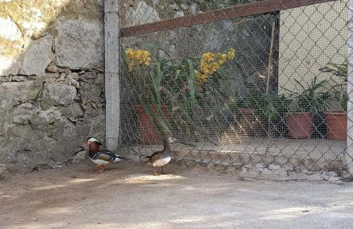 Casa de Santa Luzia - Foto 38