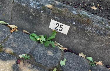 FEWO-Wölkchen mit Ausblick & Komfort über den Dächern von Weißenfels - Foto 38