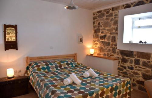 The apricot tree studio - Foto 4