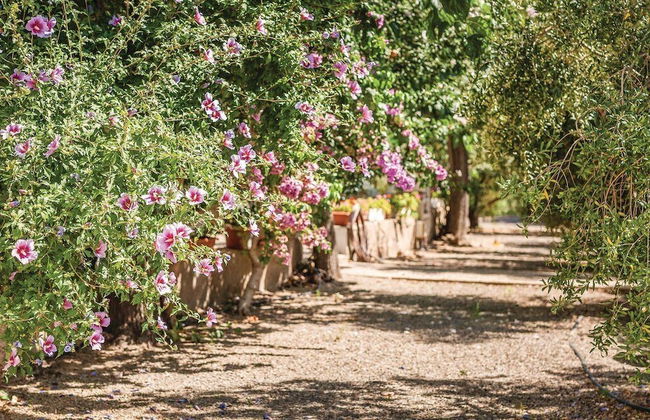 InmoBooking Mas xanxo - Foto 34