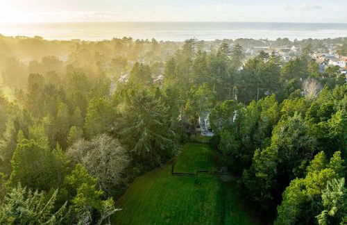 Sea Dream MCA#398 - Foto 36