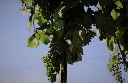 Casa Nonna Teresa - Foto 19