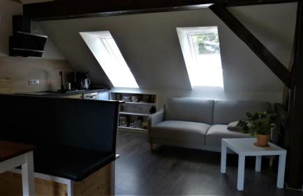 Ferienwohnung im Spreewald in idyllischer Alleinlage - Foto 29