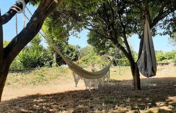 Yuccasa - Small Glamping Camping & Studio's - Foto 64