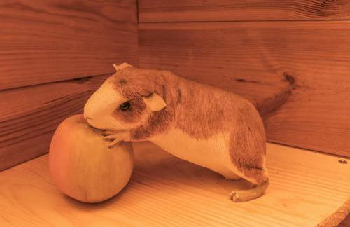 Aurora Skies - Photo 23