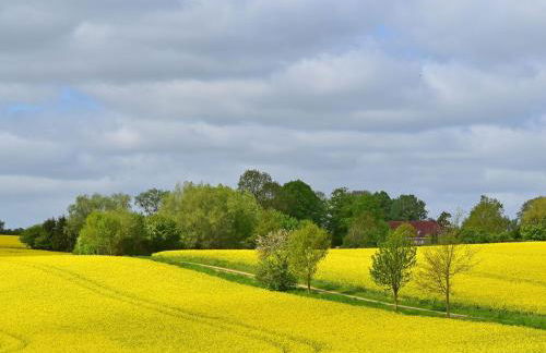 Ferienwohnung im Gutshaus Schulenbrook - Foto 27