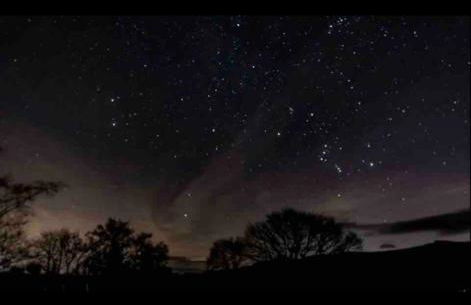 Kookaburra Cottage - Foto 26