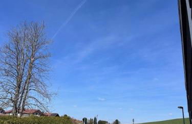 Staufen Zeit - Foto 5